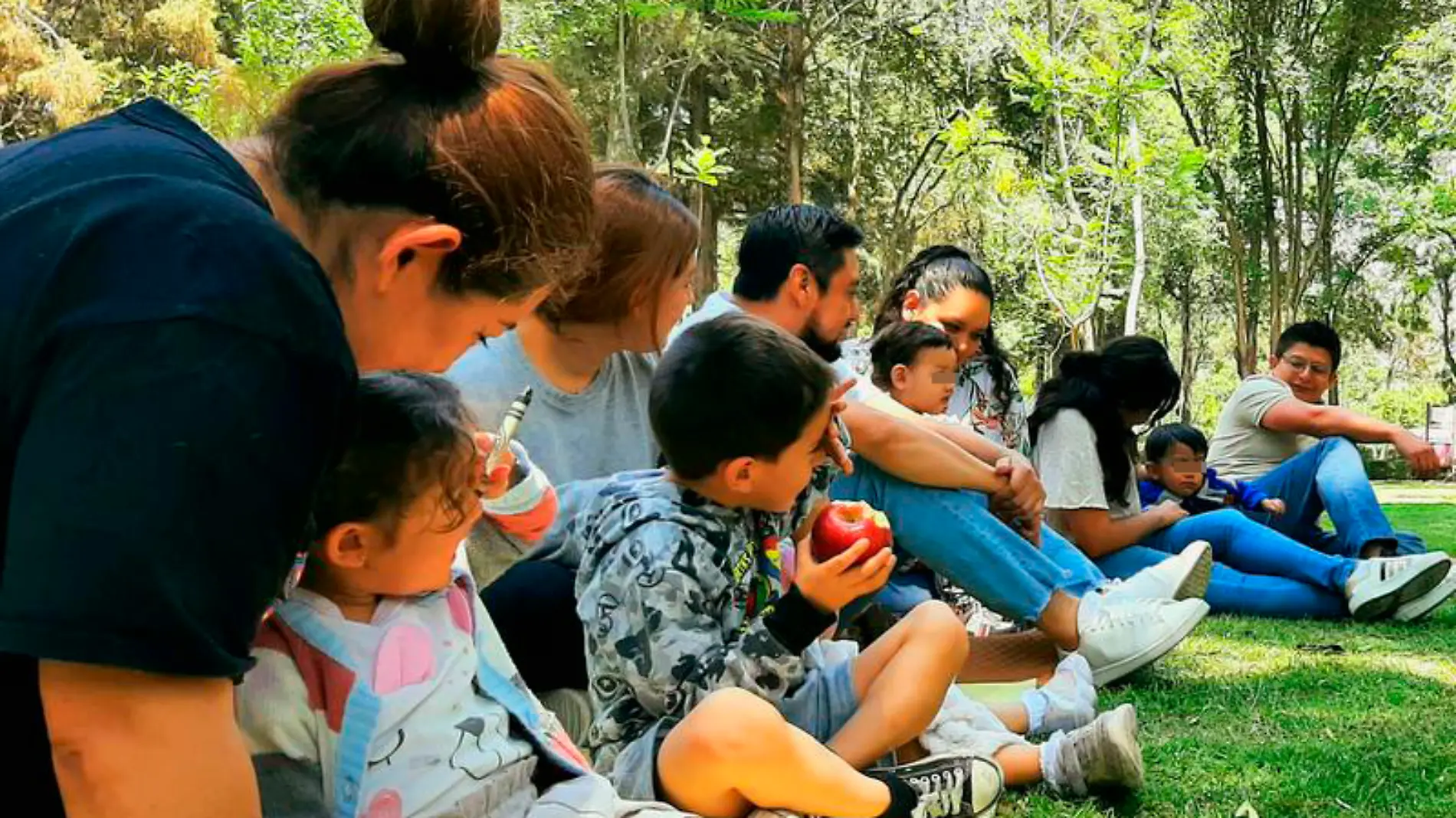 picnic para bebés 1-1